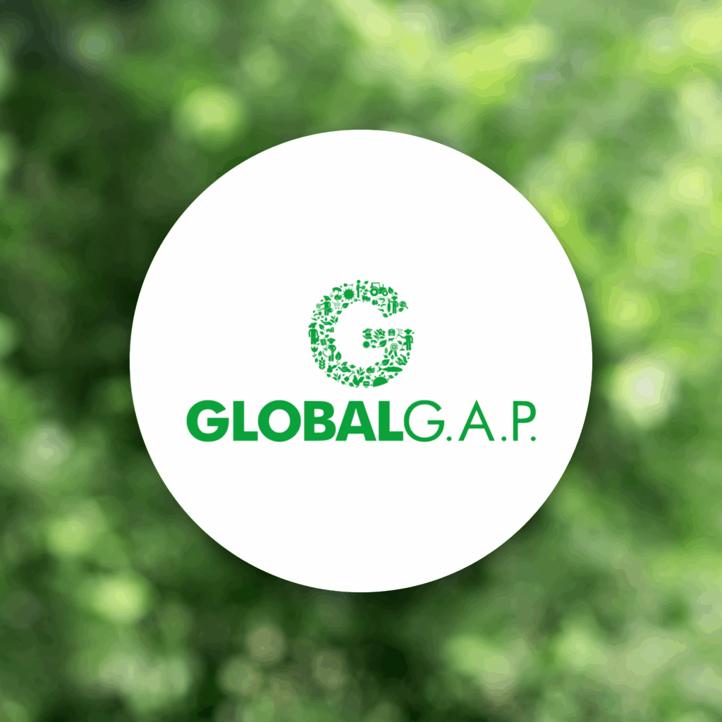 Certification Global Gap - Logo